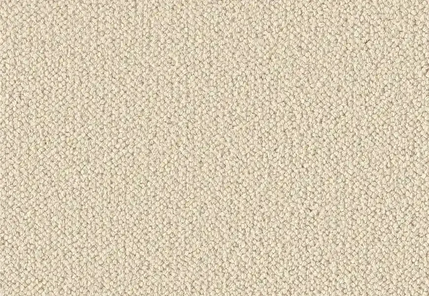 Ivory cream tight loop pile wool carpet with uniform texture