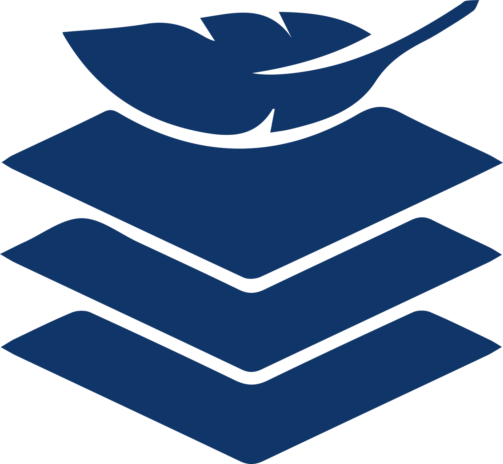 enhanced-comfort-and-Softness-carpets-and-rugs