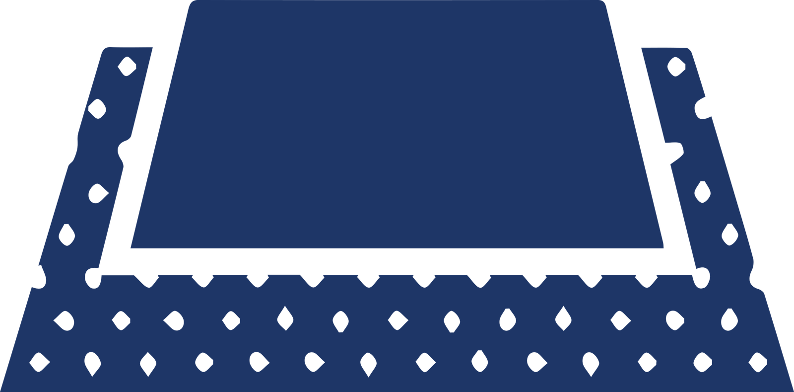 floor-surface-protection-carpets-and-rugs